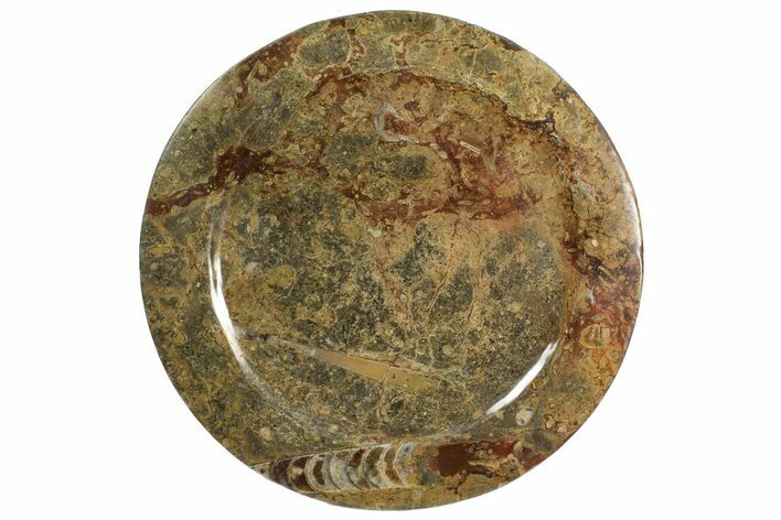 Fossil Orthoceras & Goniatite Round Plate - Stoneware #139503